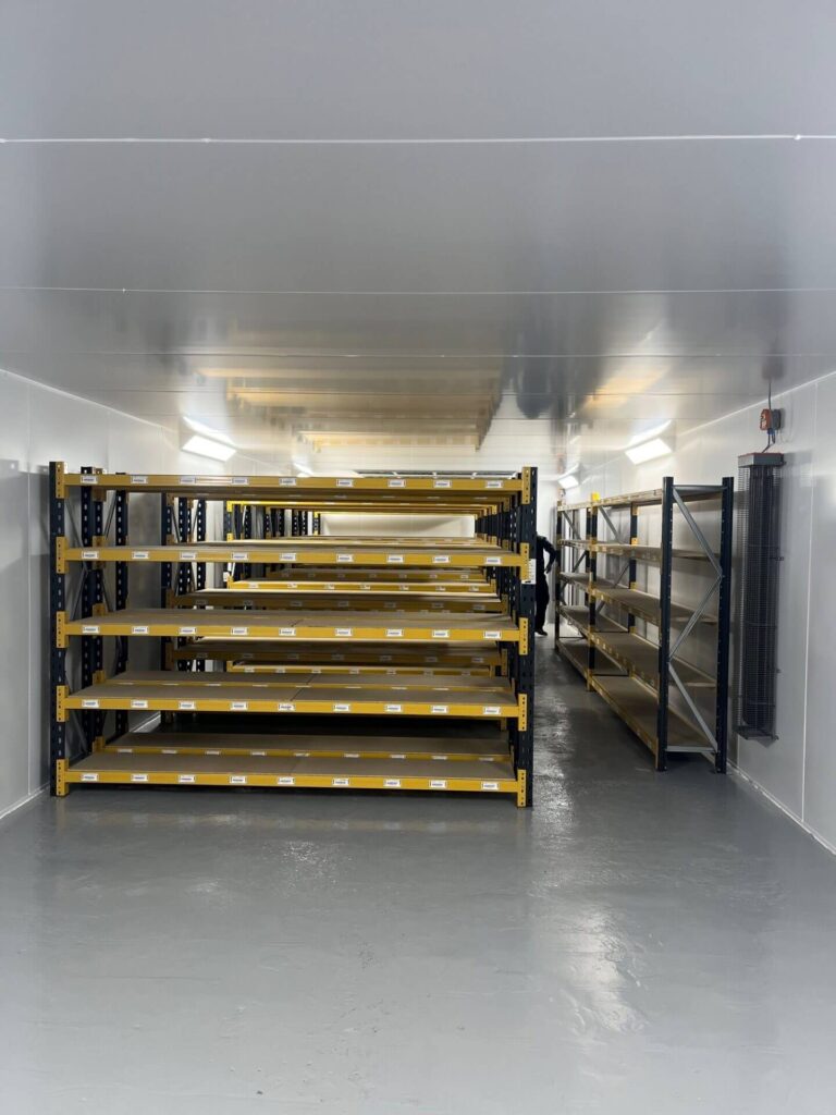 Supertune Automotive